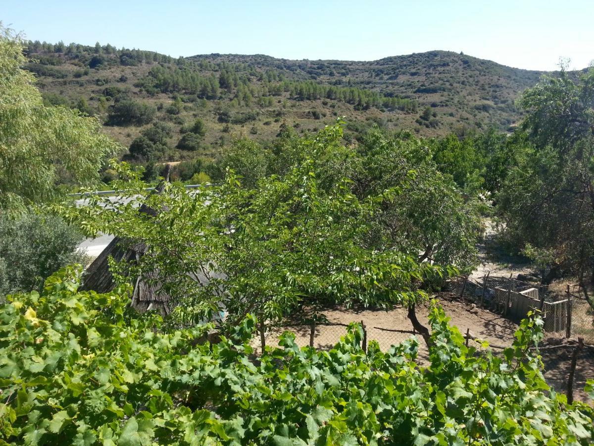 Hostal Rural Casa Pedro San Martín de Unx 외부 사진